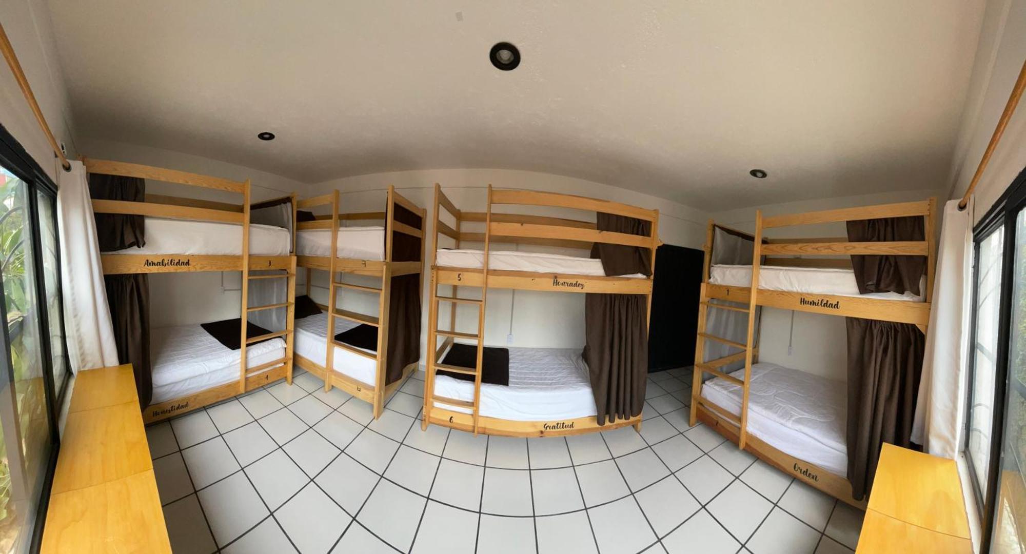 Hostal Roma Condesa Mexico City Ngoại thất bức ảnh